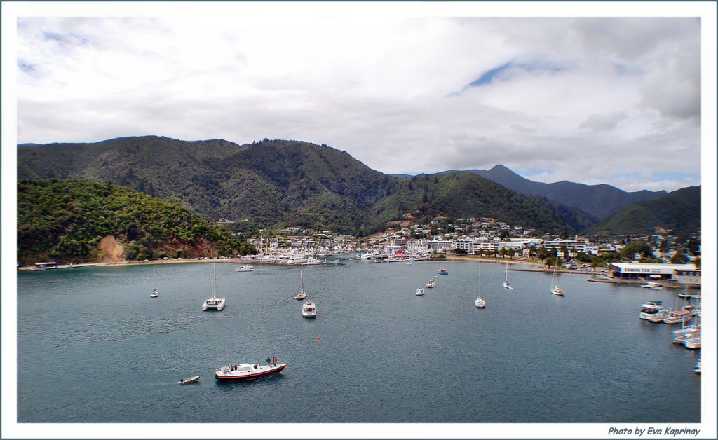 Picton sight from the Ferry! by Eva Kaprinay