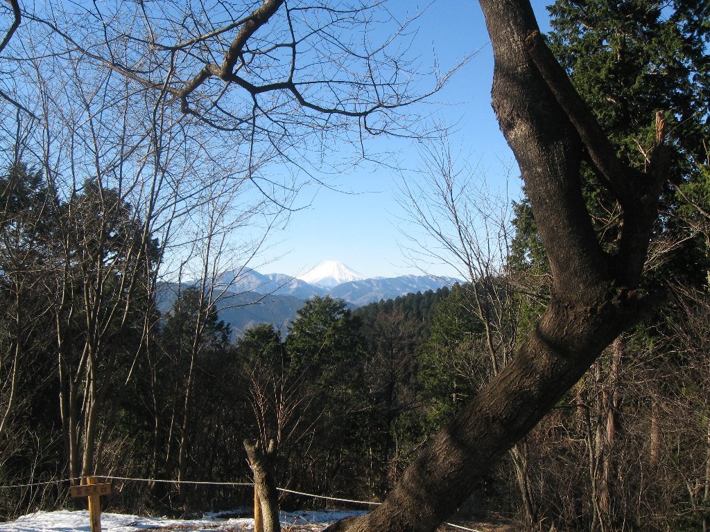 富士見台からの富士山 by iwt