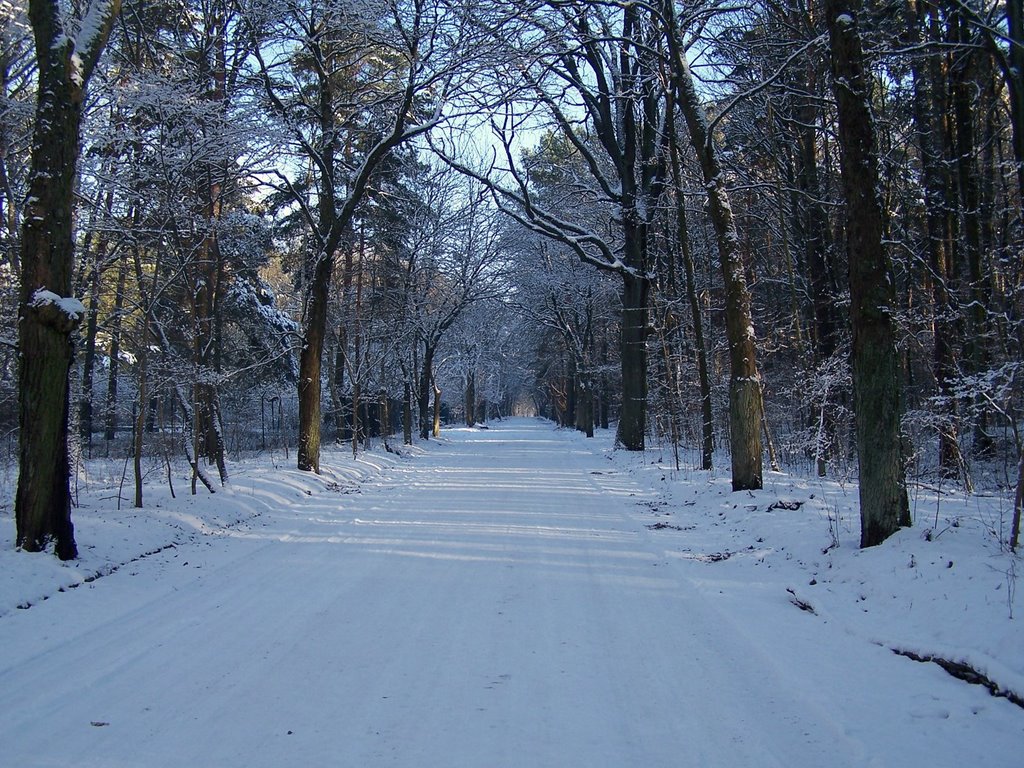 Der Jägerstieg im Winterkleid by Chiefje