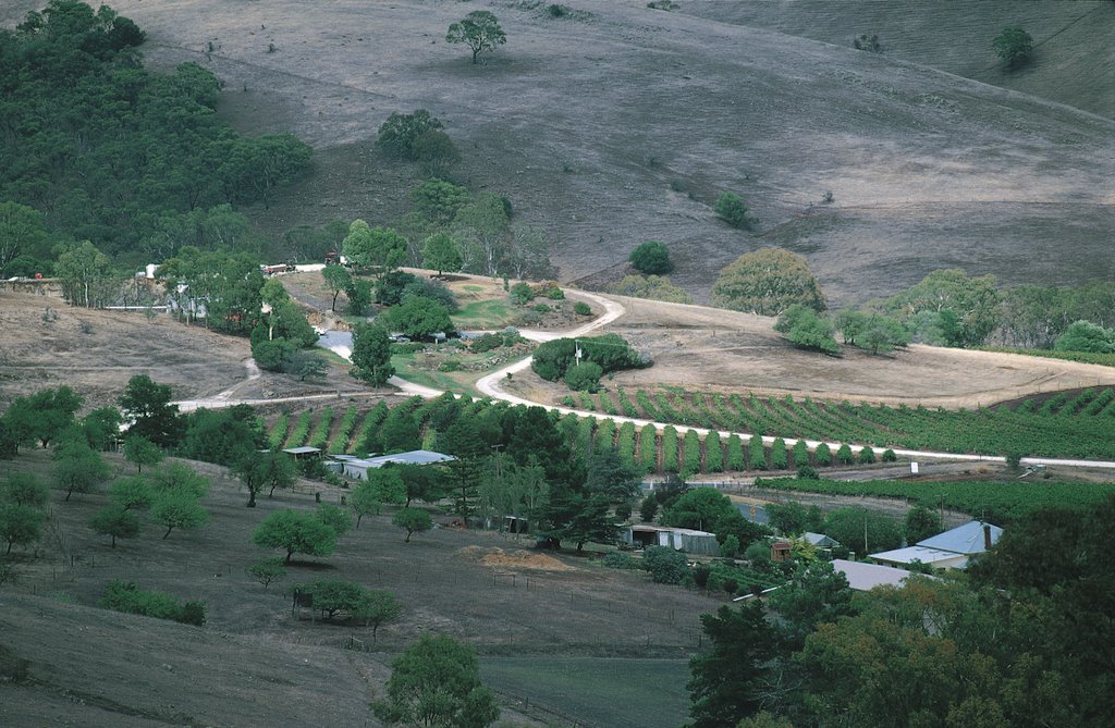 Scenic Barossa Valley by Bronco Pipovicz