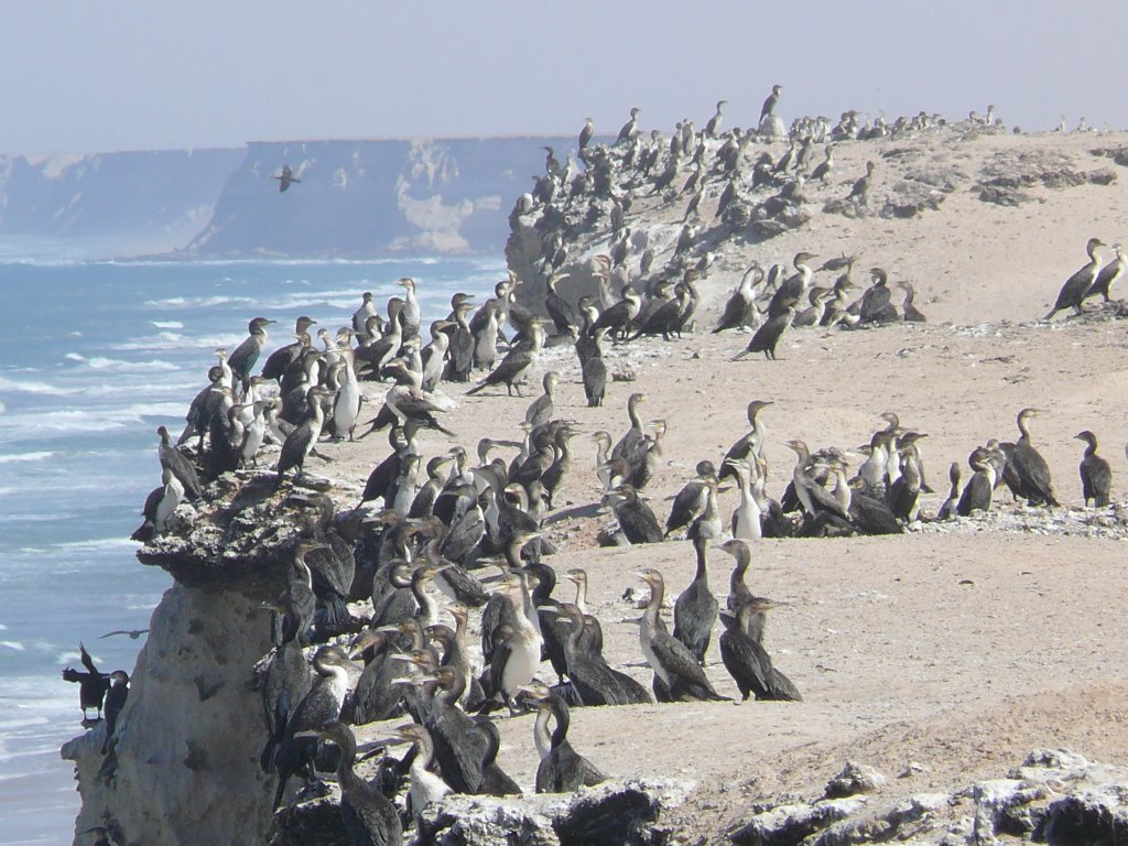 Wavespot Dakhla by Sandro Basso