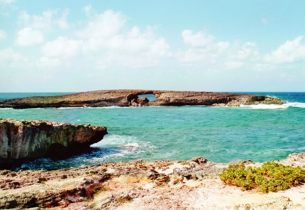 Laie Point by Rolf Georgi