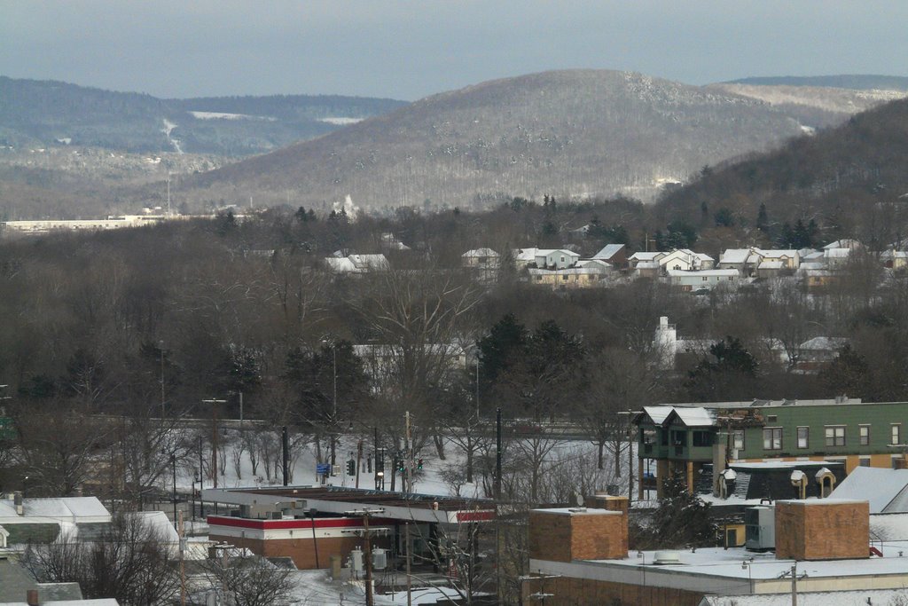 Copyrighted__ view of Binghamton winter by Geraldine Clark