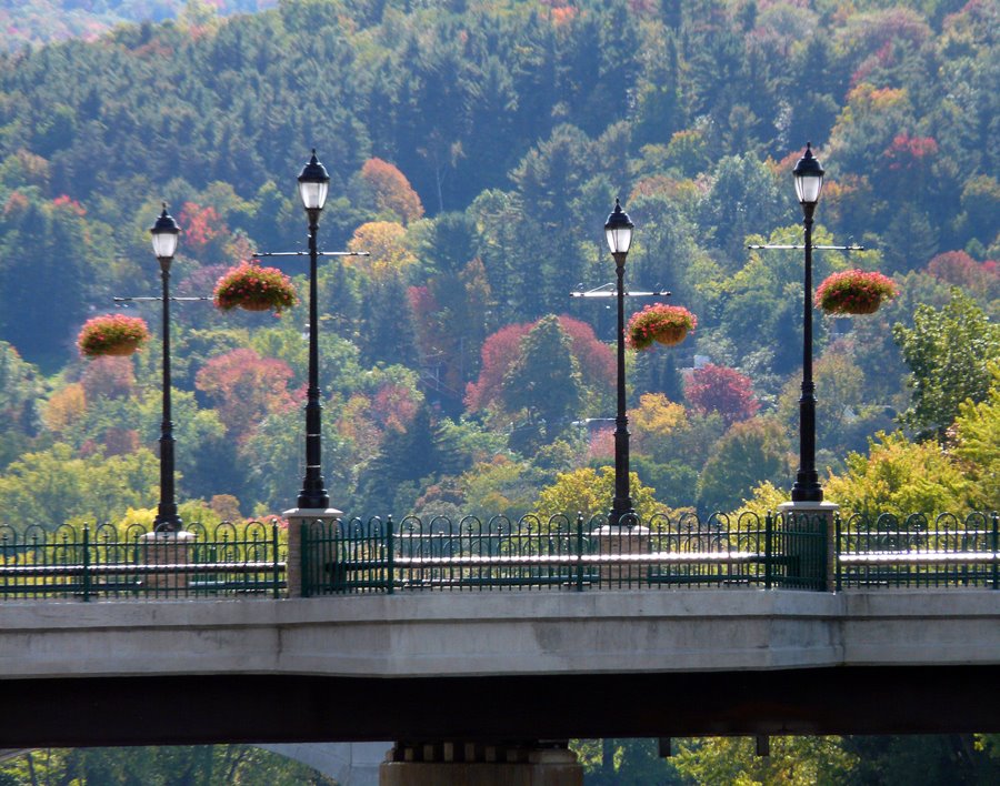 Copyrighted__ Memorial Bridge Riverside Dr. by Geraldine Clark