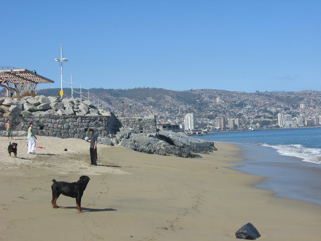 Valparaíso desde la Playa Portales by ryky