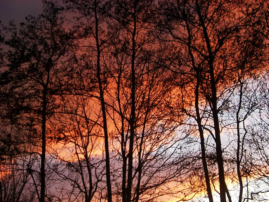 Sonnenuntergang in Neugarmssiel by Pension Velber