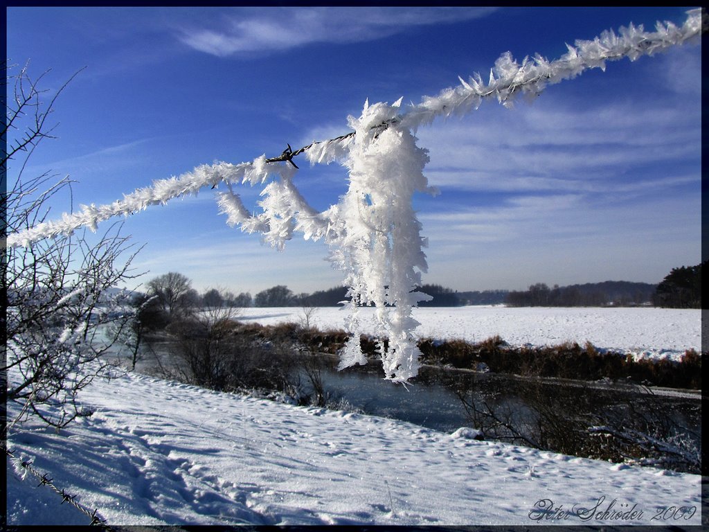 Kuhschwanzhaare im Winterschmuck by SUMOBOXER