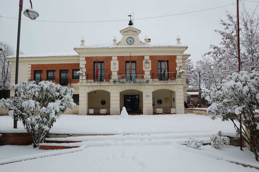 Ayuntamiento nevado by Valle M.