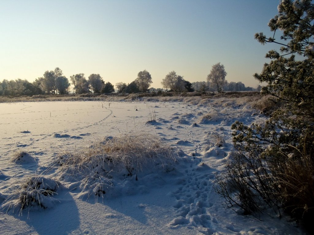 Strabrechtse Heide, Lierop by mzw a.k.a. uaf