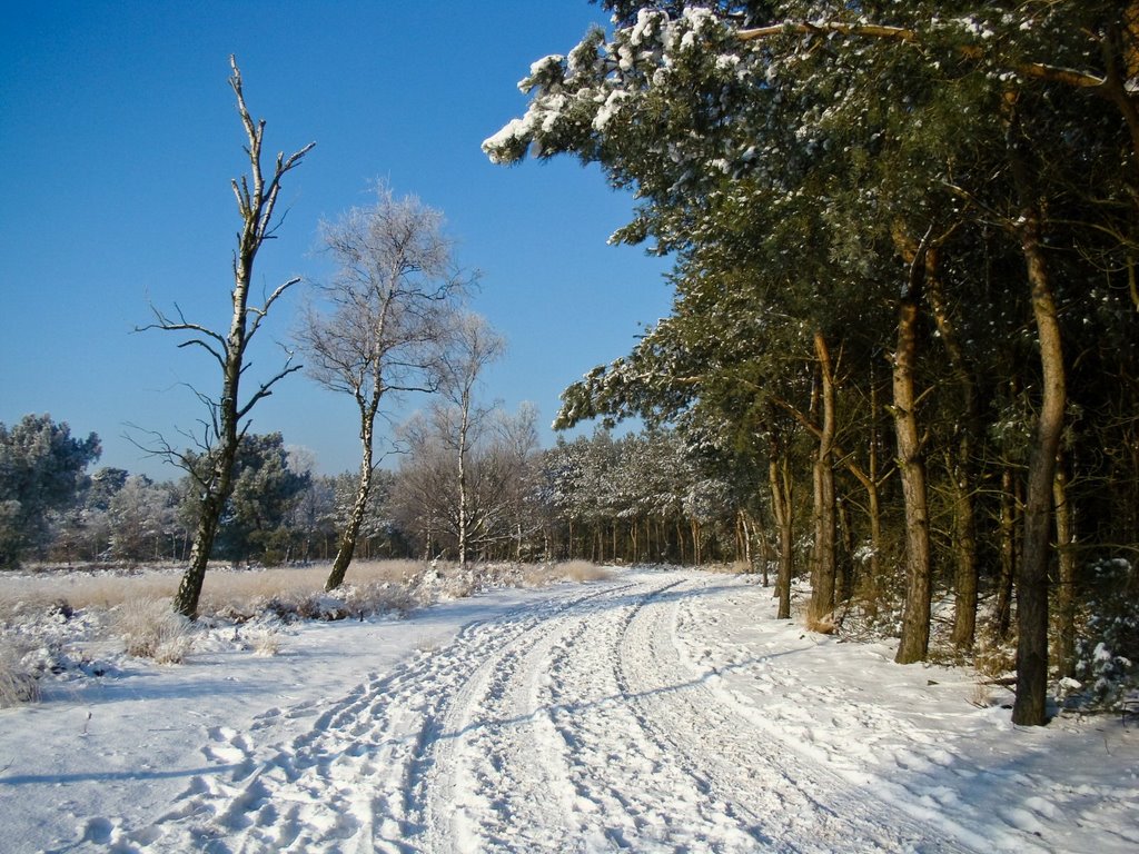 Strabrechtse Heide, Lierop by mzw a.k.a. uaf