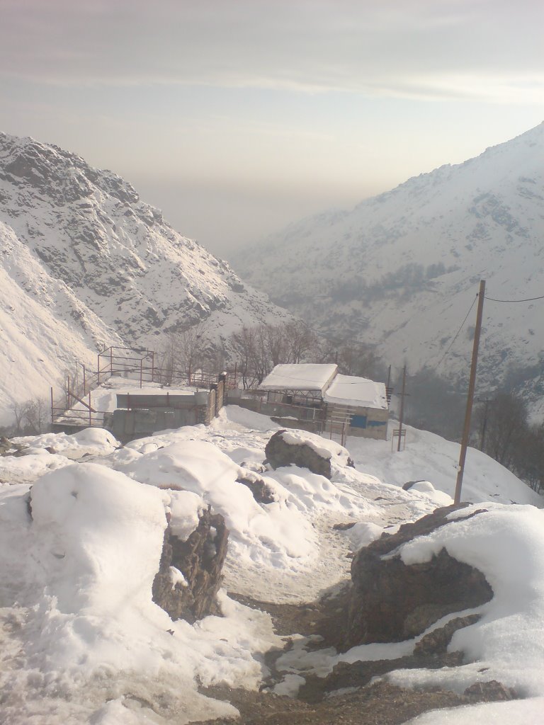 Darband , tochal montain , tehran 11 by Ali Reza Besharati