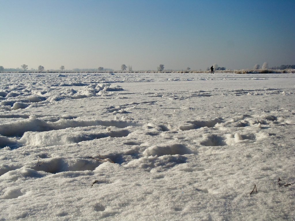 Strabrechtse Heide, Starven, Lierop by mzw a.k.a. uaf