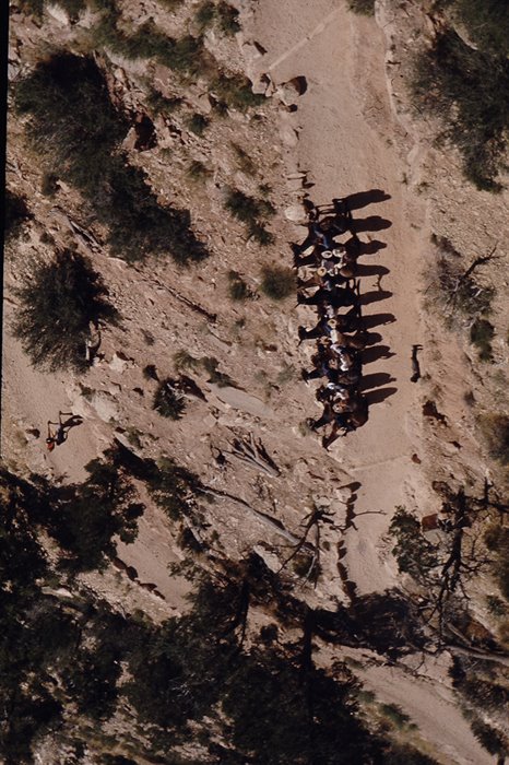 © donkey ride down grand canyon 1977 by Geraldine Clark