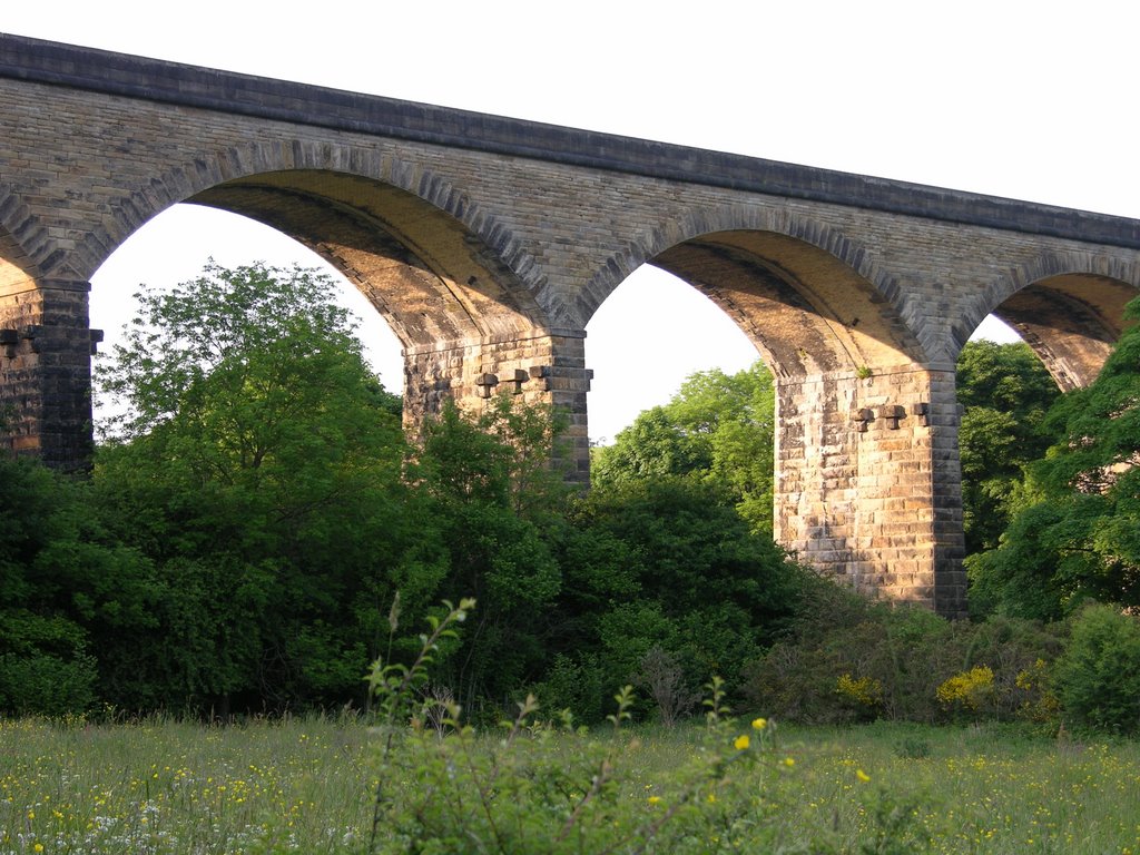 Nine arches viaduct by John Errington