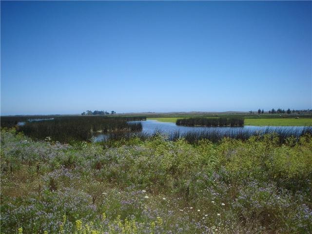 Rivera río maule en Constitución by Patricio  Astorga So…