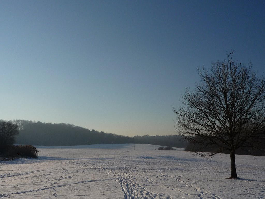 Büsnauer Feuchtgebiet im Winter by BilderMacher