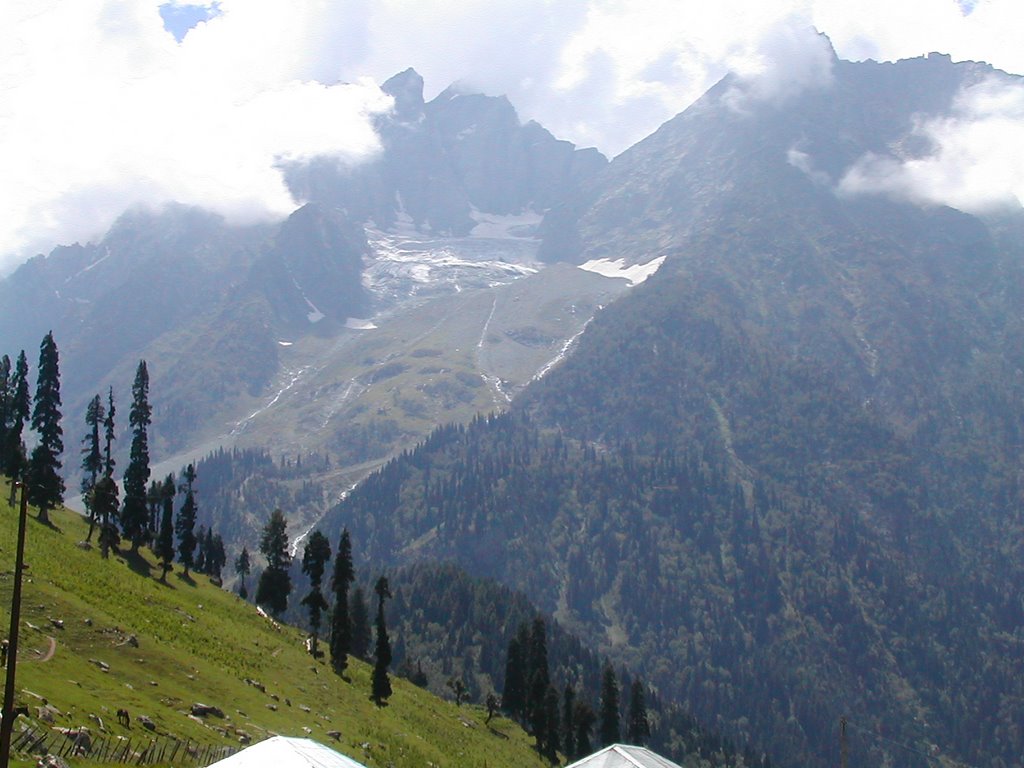 Forest Block, Jammu and Kashmir, India by simone bernardi