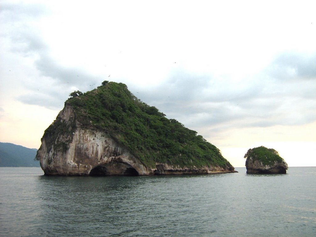 Los Arcos Puerto Vallarta by redryderbkr