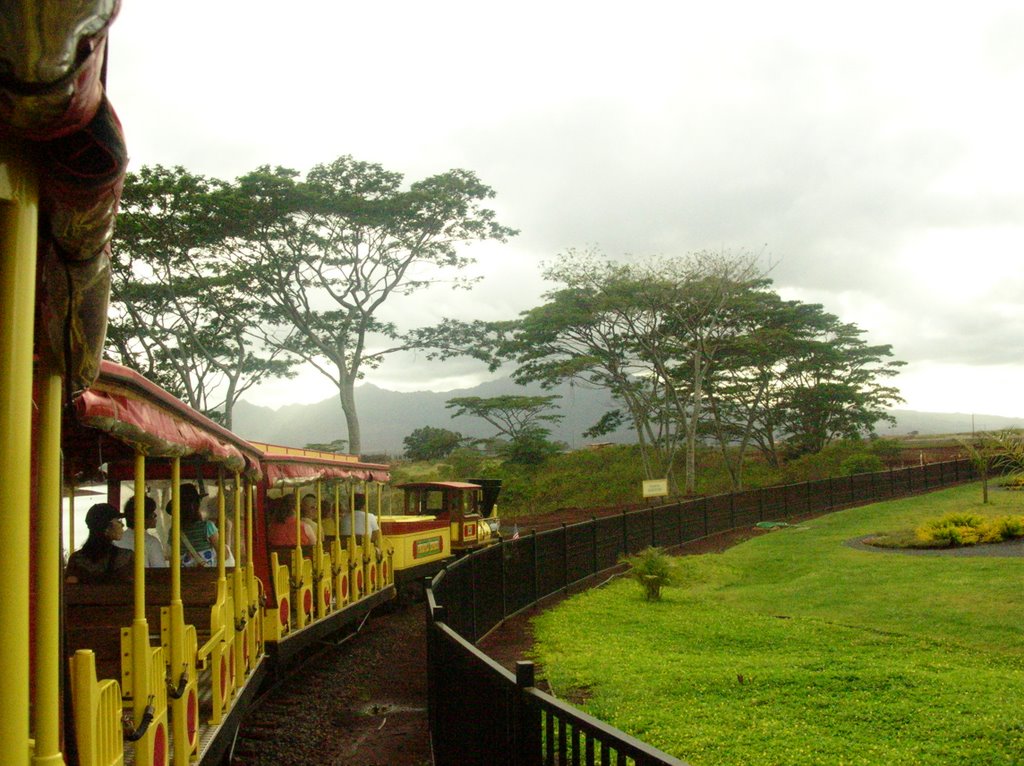 Trip to pineapple plantation by WeronikaW