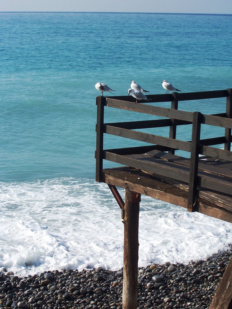 BORDIGHERA by Angela Minutoli