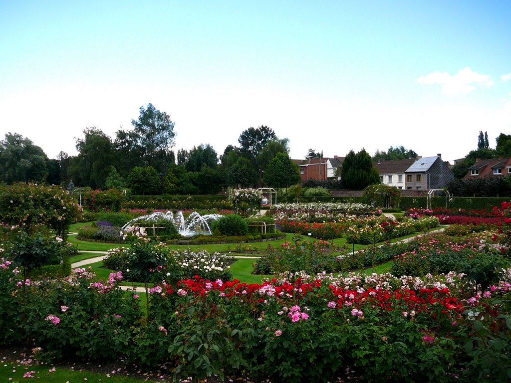 Havre, Garden with roses, Belgium by Gancho Todorov