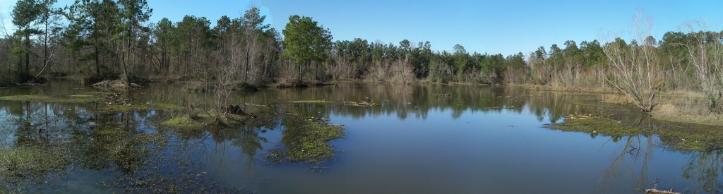 Alligator Pond Panorama - Old Riley Fuzzel Road Preserve by sh.pollard