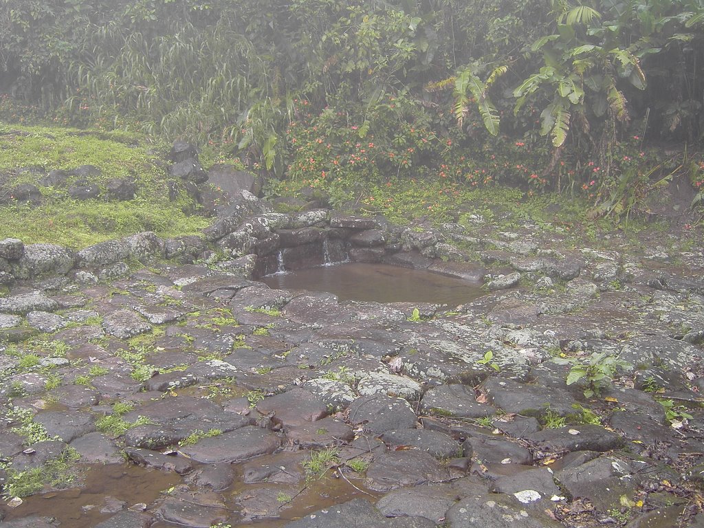 Cistern - Indian City Guayabo by Markus Schaefer