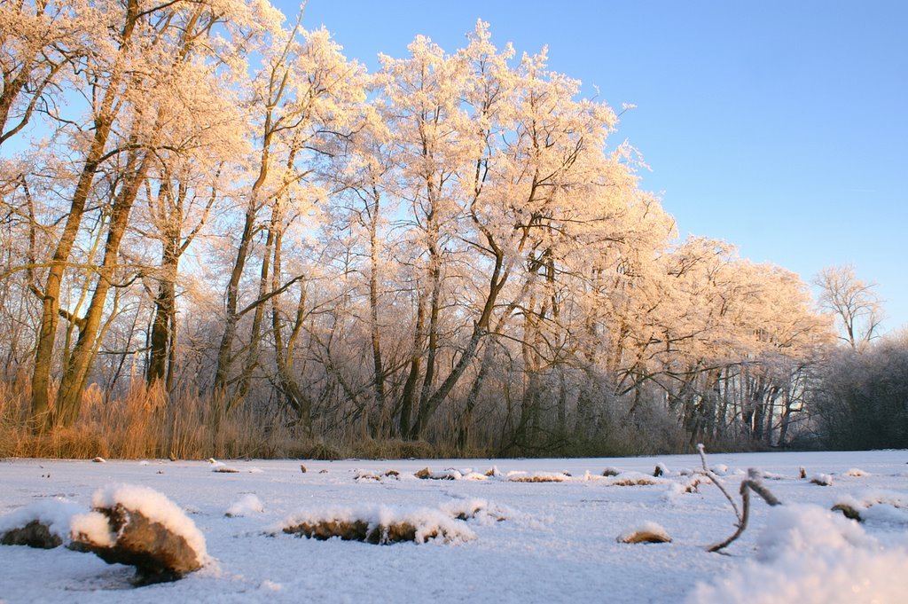 "De Blauwe Hel", Veenendaal,2009, Winter by Peter van de Haar