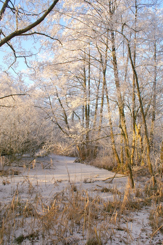 "De Blauwe Hel", Veenendaal,2009, Winter by Peter van de Haar