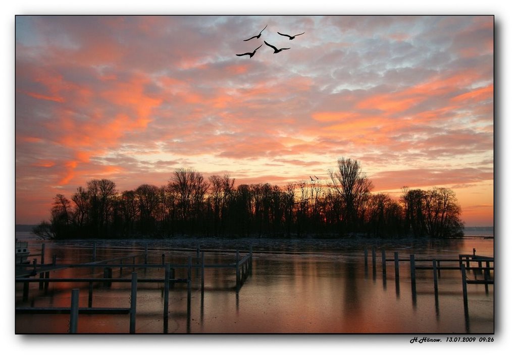 Die Insel Imchen im Winterschlaf. by H. Hönow