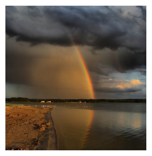 Rainbow by Janno Jahisoo