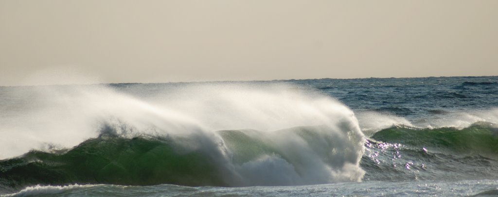 January Surf at Beavertail by bgags