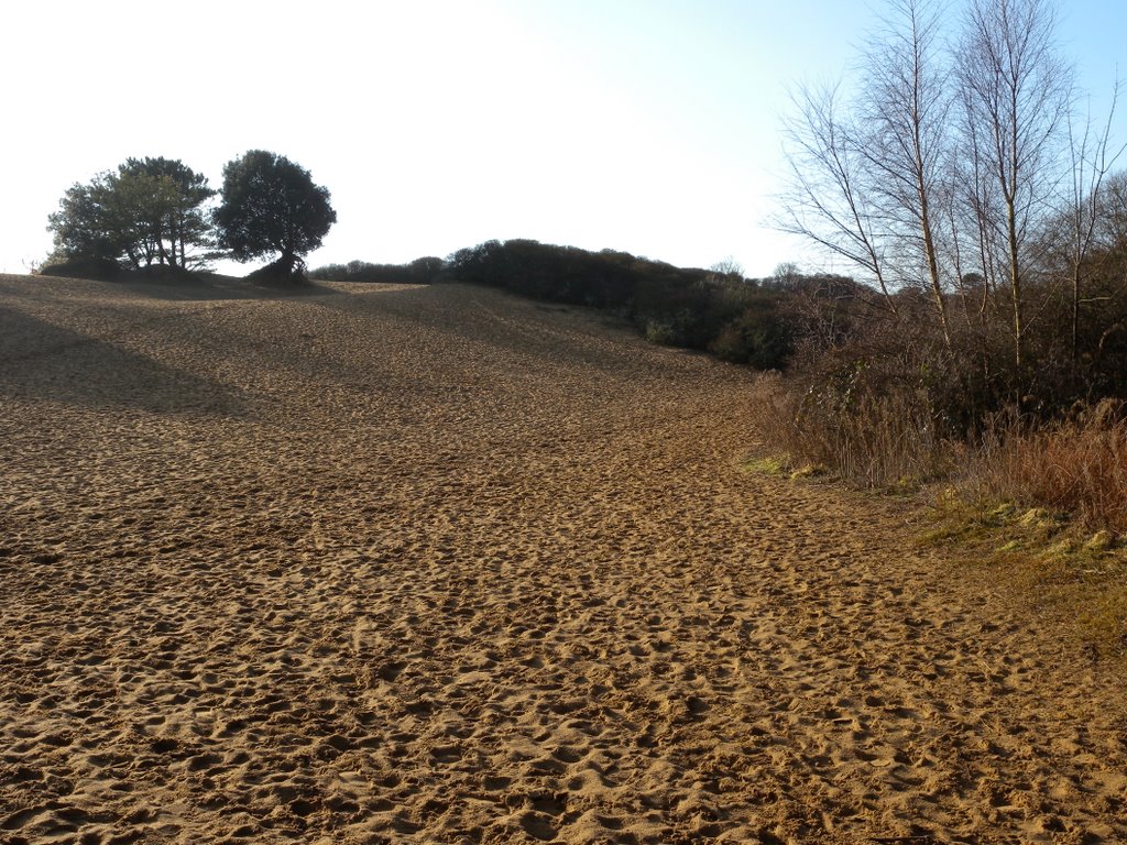 Merthyr Mawr dunes - the largest in Europe by Ibshadow