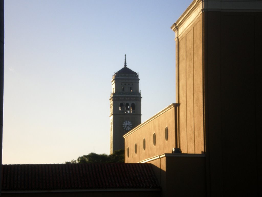 Torre UPR desde Pedagogía by Rashido