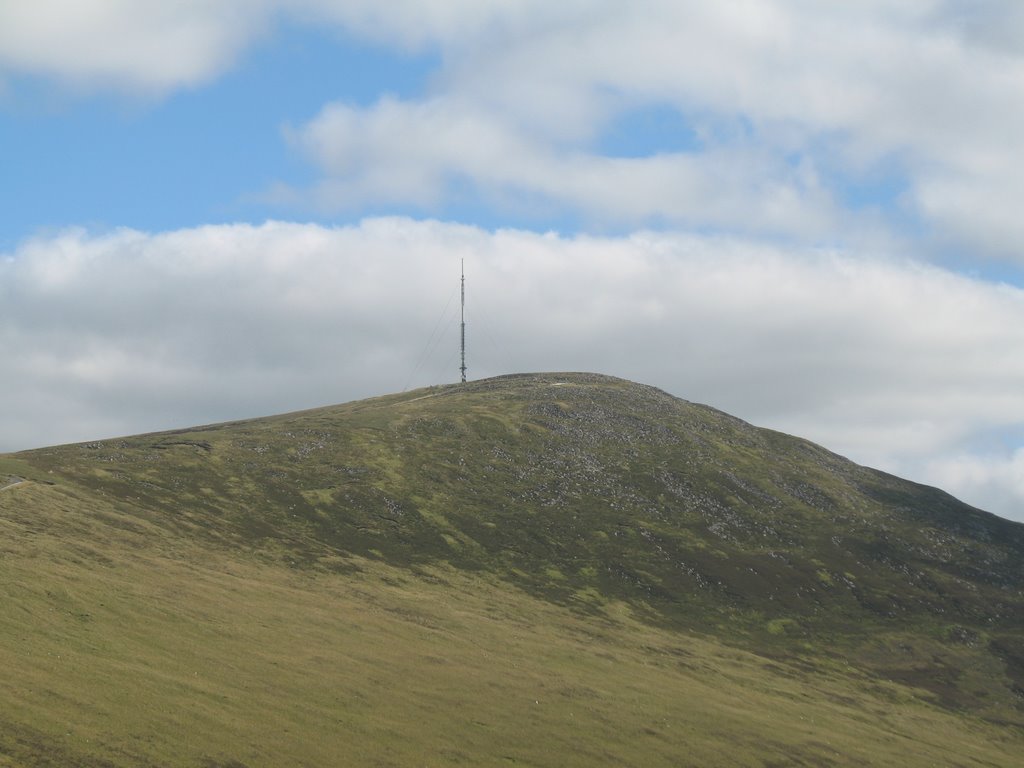 Raheendarragh, Co. Carlow, Ireland by Michael Mulcahy