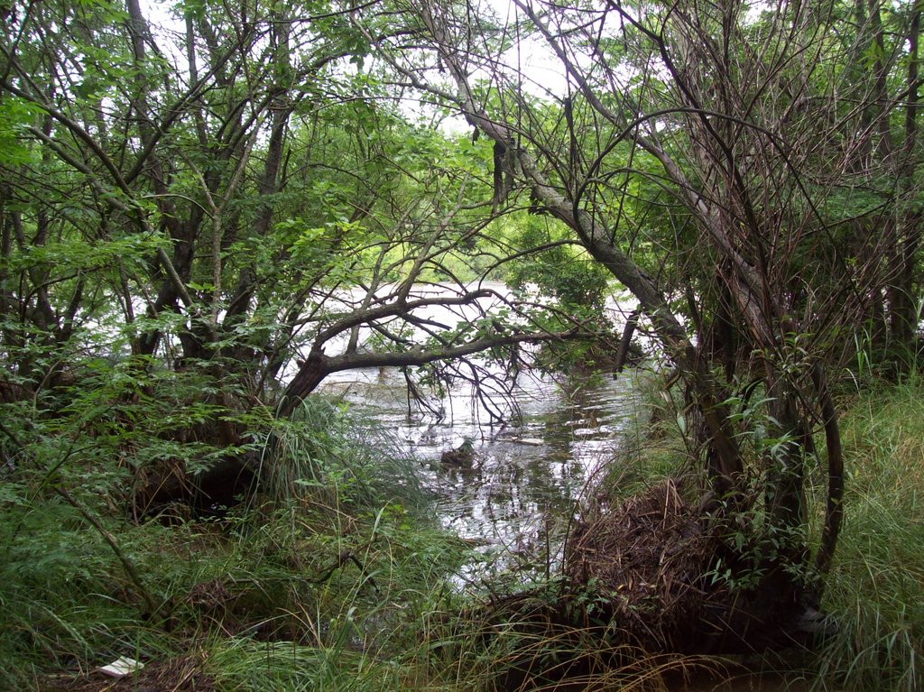 El río San Antonio con una buena creciente.- (Foto de Frank Boore).- by Frank Boore