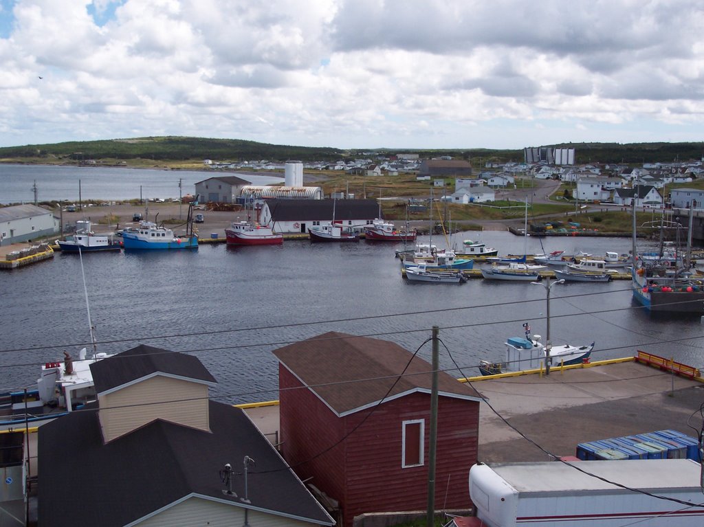 Grand Bank harbour from the roof of the Harris House by MustangJoe