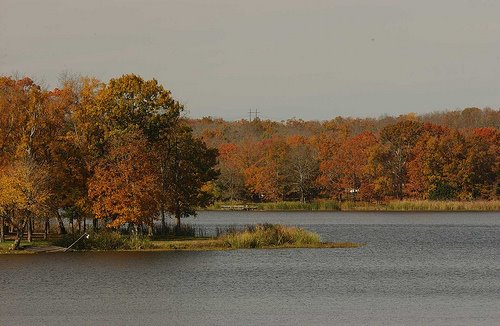 Beavers Bend State Park - Fall by Beaniebaby