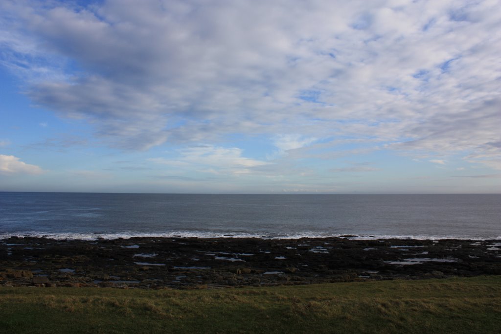 The Coast at Dunstanburgh Castle by Albert Griffiths