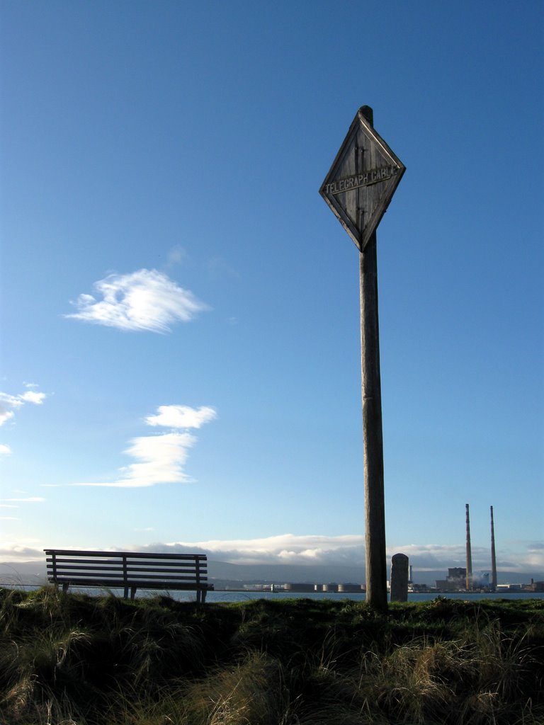 Telegraph Cable by David Hughes