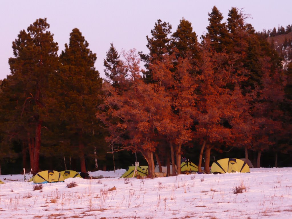 Kanik- Rental Tents by Stiltz1291