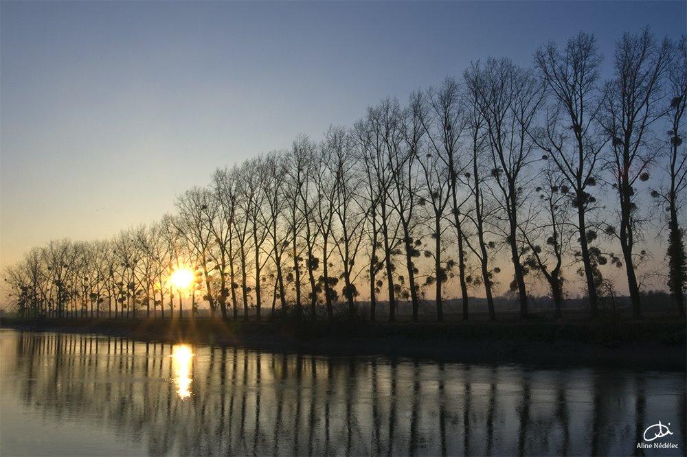 The river Charente by Aline Nédélec