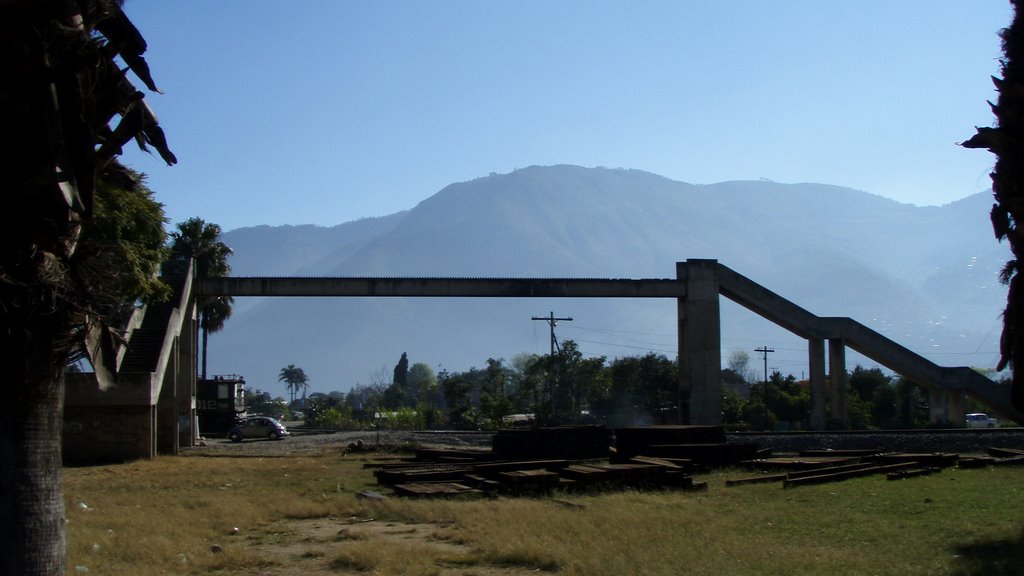 Puente en el encinar by mendozinodeveracruz