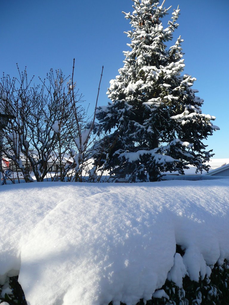 Vinter i Alingsås,Sweden,2008 by Despina Mousafiri