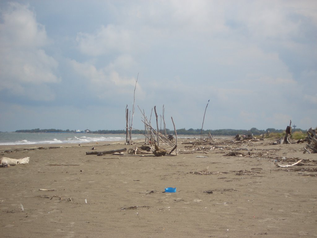 Strand (Blick nach Süden) by Wolfgang Markl