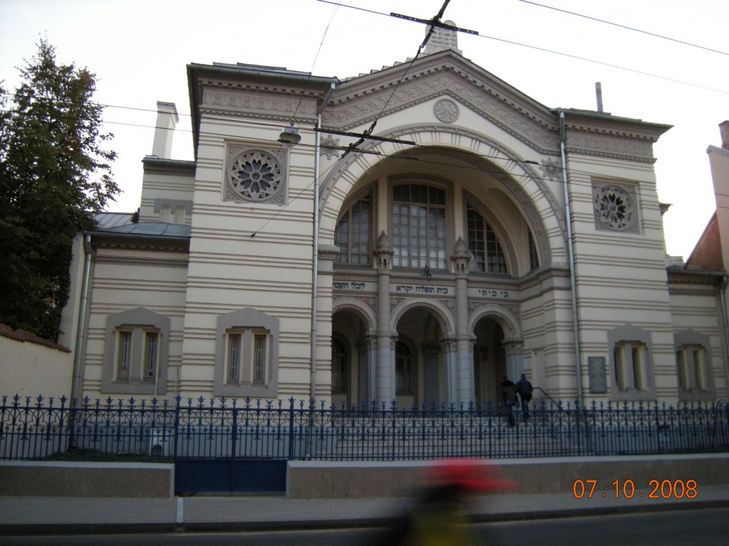 The Synagogue of Vilnius by Kale K