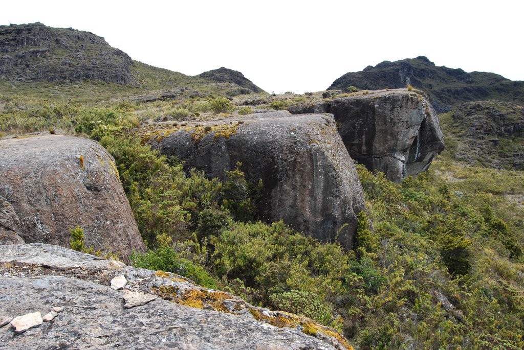 Rocks, Cerro Chirripo by Markus Schaefer