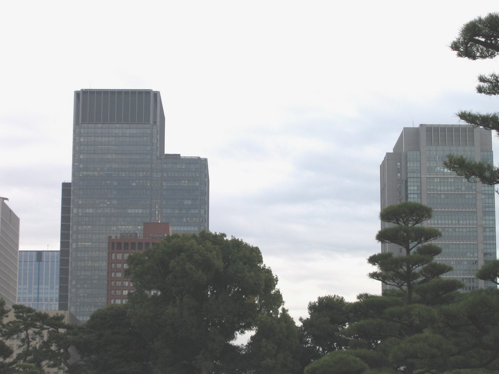 Tokyo office blocks from the grounds of the Imperial Palace by Clive Munday