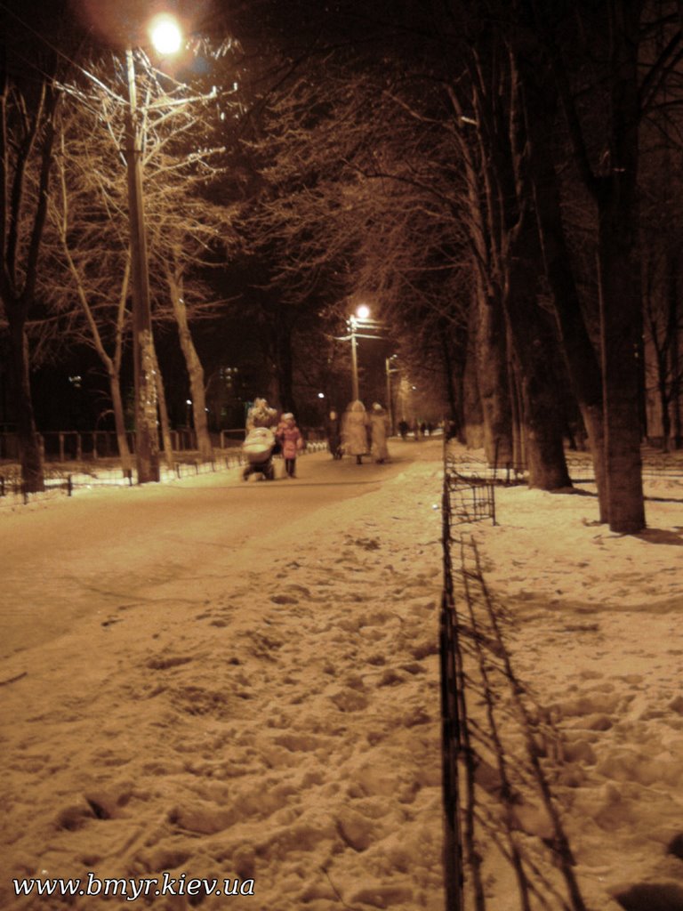 Teremki valley at night by EugeneLoza