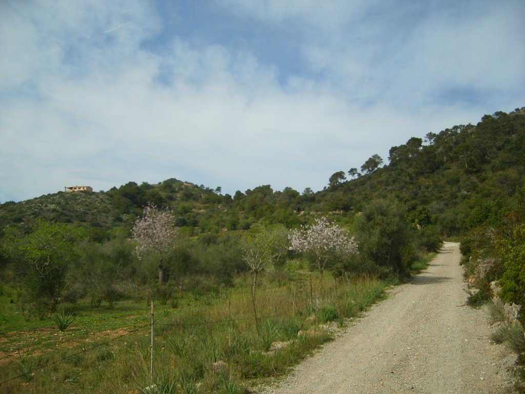 Sant Llorenç des Cardassar, Balearic Islands, Spain by fidex